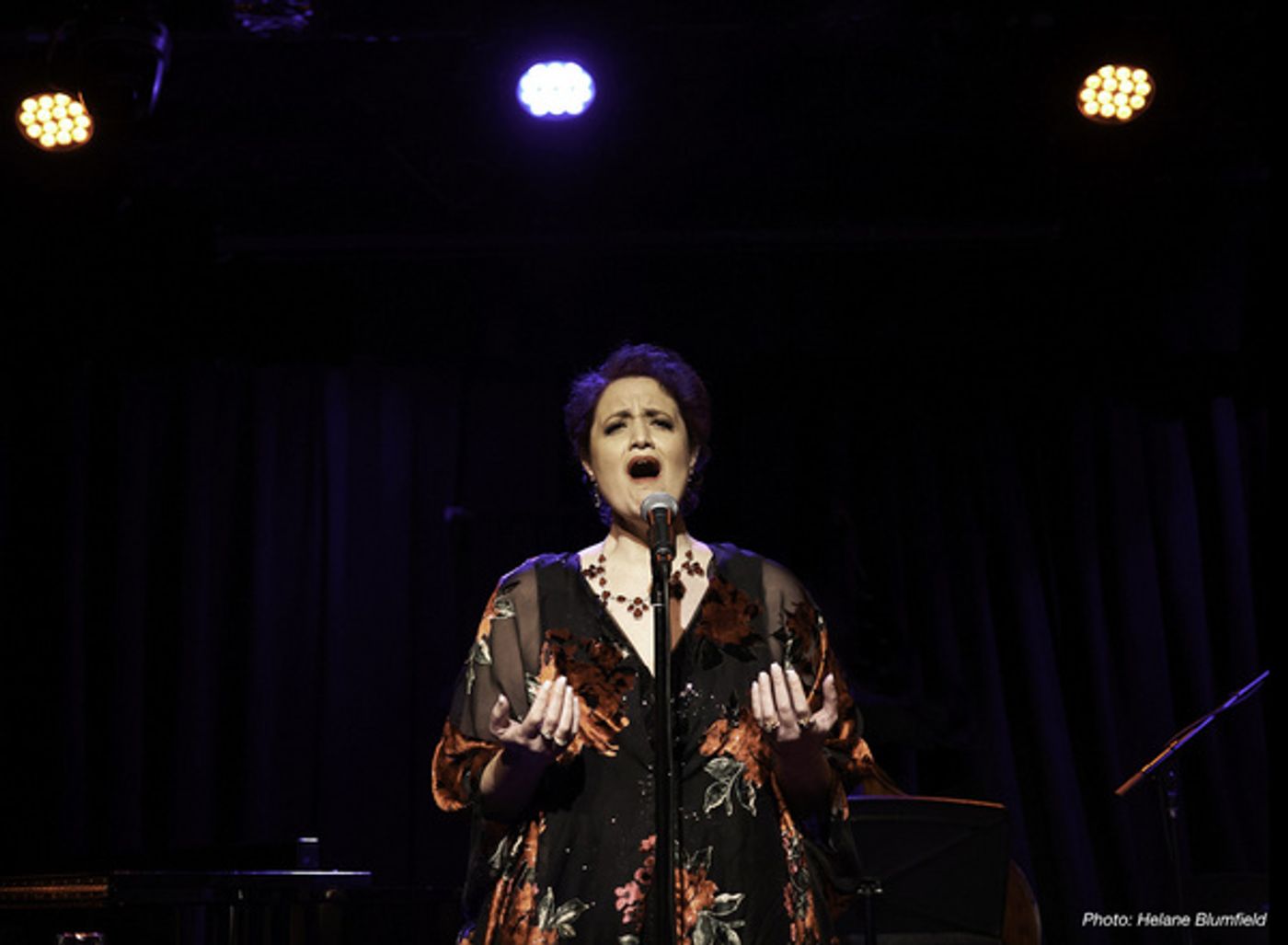 Photo Flash: Regina Zona BECOMING...THE Queen 2.0 At The Triad  Image