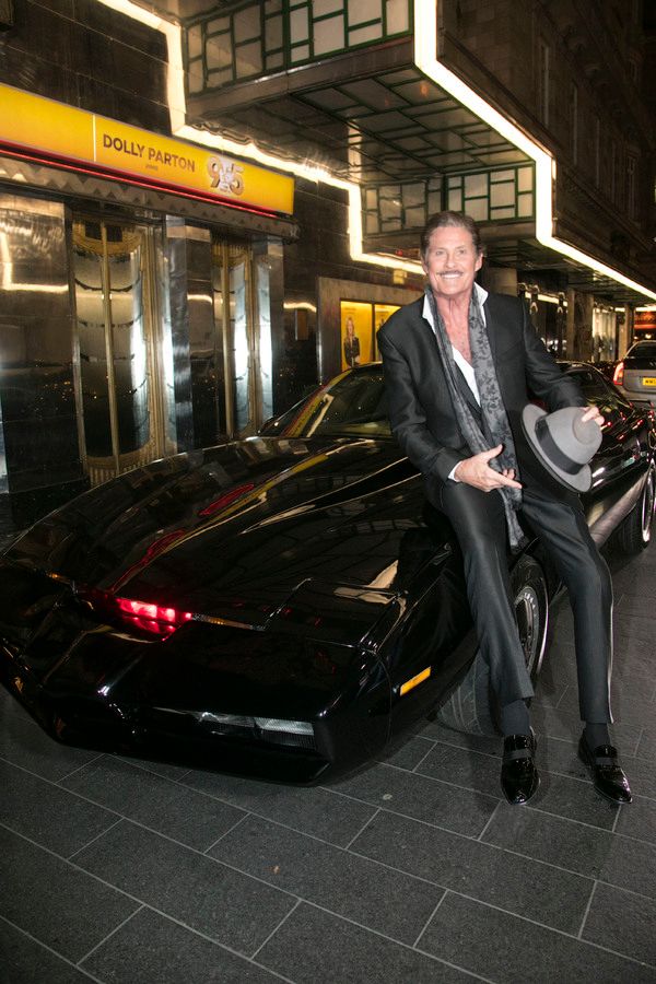 David Hasselhoff (Franklin Hart Jr) Photo