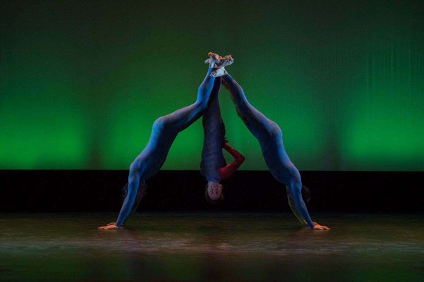 Photo Flash: Aura CuriAtlas Performs At Steppenwolf Photo Flash: Aura CuriAtlas Performs At Steppenwolf Image