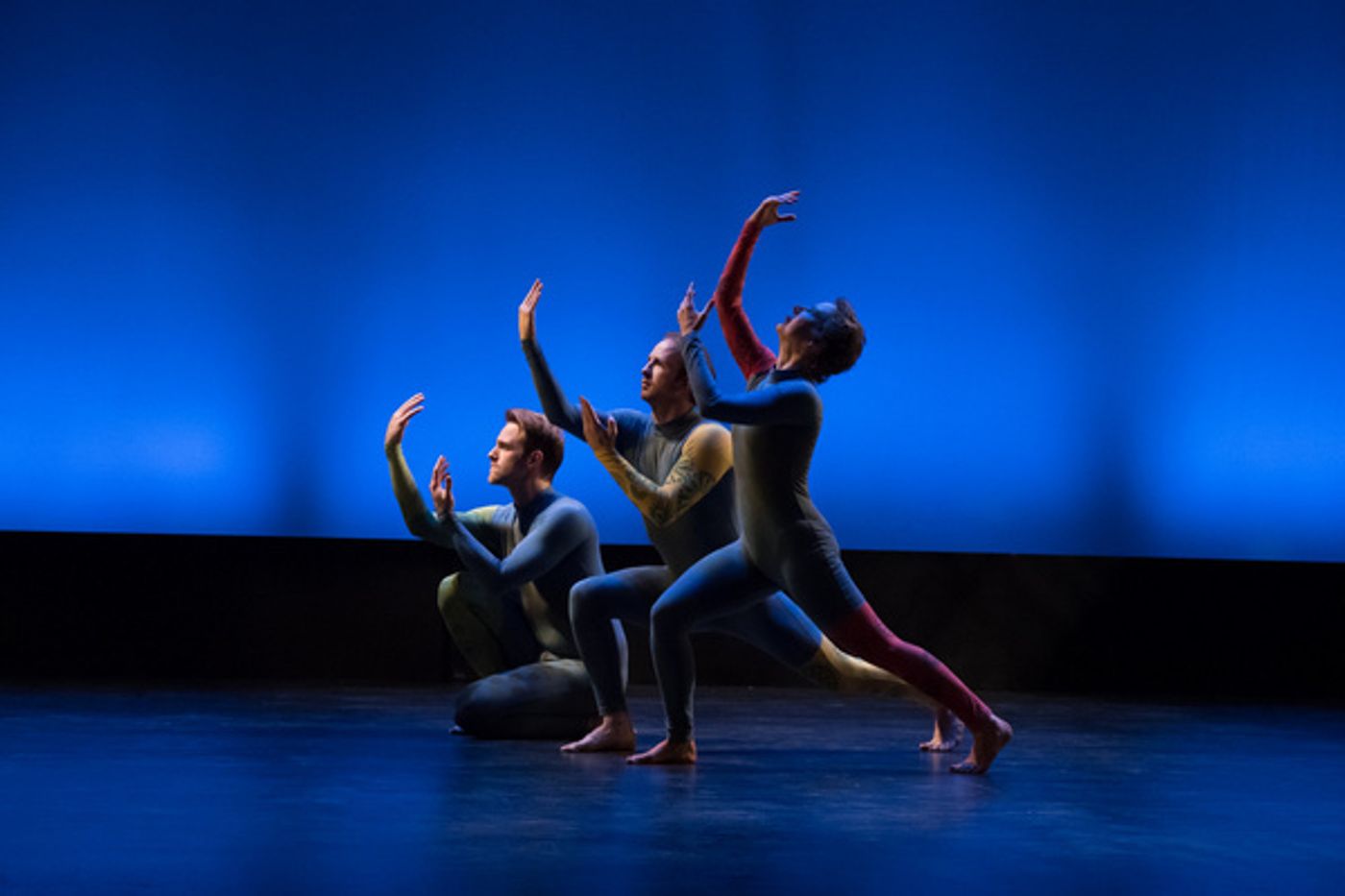 Photo Flash: Aura CuriAtlas Performs At Steppenwolf Photo Flash: Aura CuriAtlas Performs At Steppenwolf Image