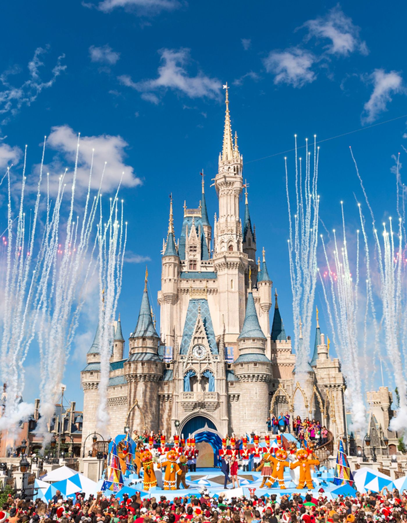 Photo Flash: DISNEY PARKS MAGICAL CHRISTMAS DAY PARADE Airs Wednesday, December 25  Image