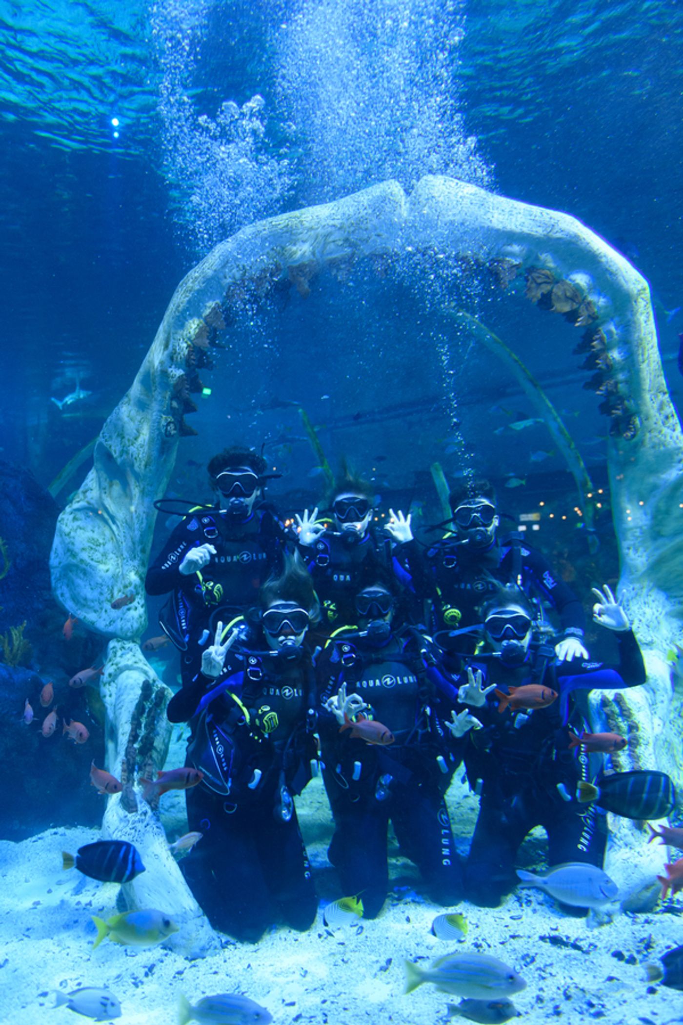 Photo Flash: The Cast of Birmingham Hippodromes UNFORTUNATE Goes Shark Diving at Bear Grylls Adventure Photo Flash: The Cast of Birmingham Hippodromes UNFORTUNATE Goes Shark Diving at Bear Grylls Adventure Image