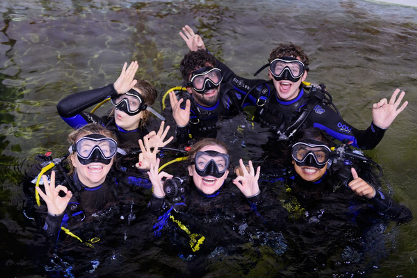 Photo Flash: The Cast of Birmingham Hippodromes UNFORTUNATE Goes Shark Diving at Bear Grylls Adventure Photo Flash: The Cast of Birmingham Hippodromes UNFORTUNATE Goes Shark Diving at Bear Grylls Adventure Image