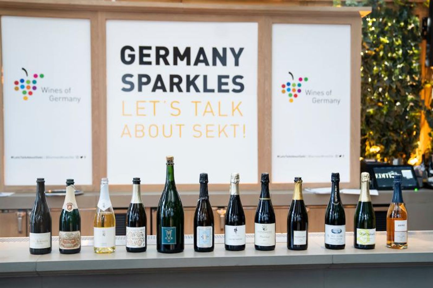 Photo Coverage: Germany Sparkles with SEKT Wines Photo Coverage: Germany Sparkles with SEKT Wines Image