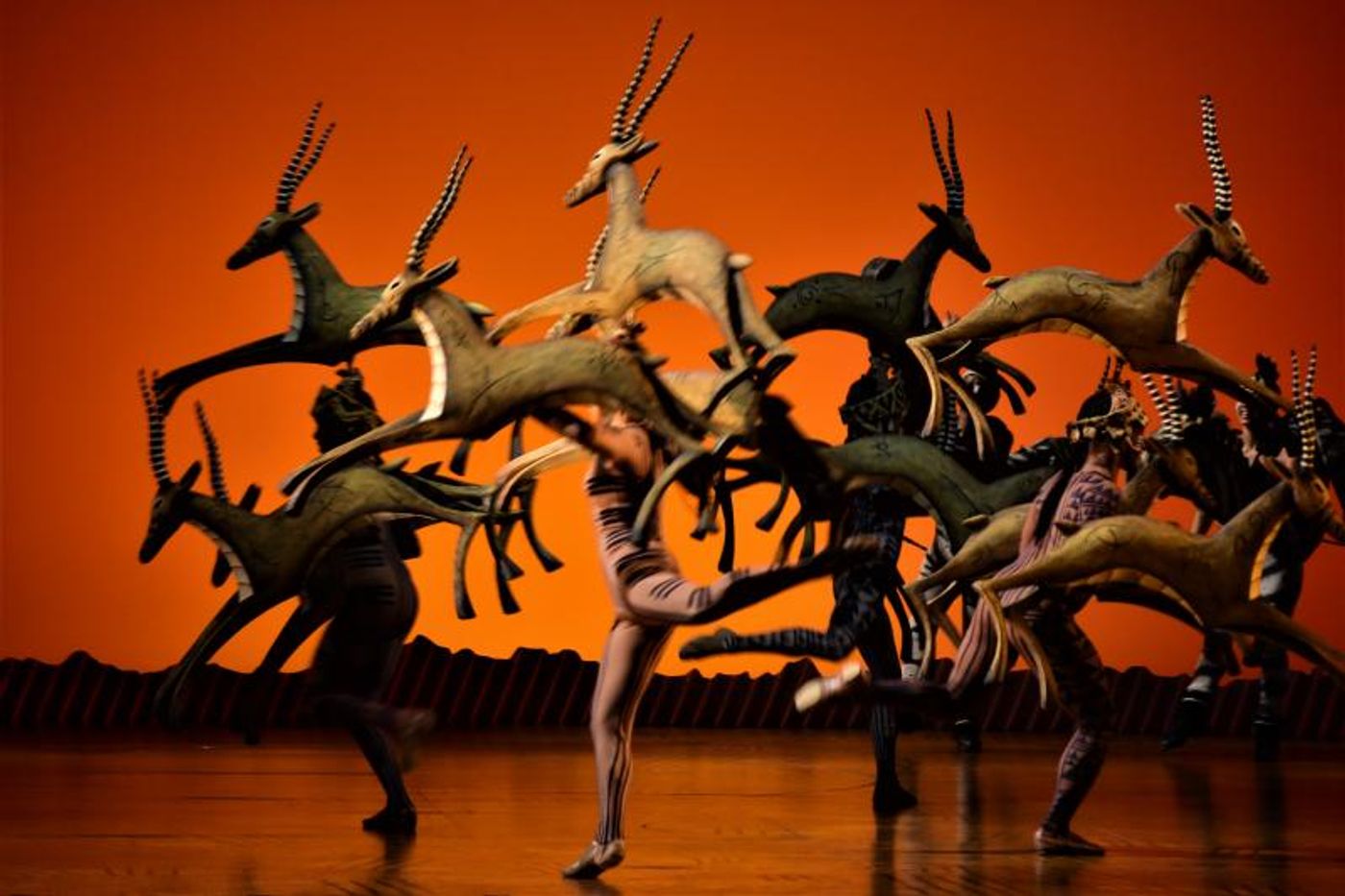 THE LION KING Plays in Hong Kong For The First Time! Here's Your First Look!  Image