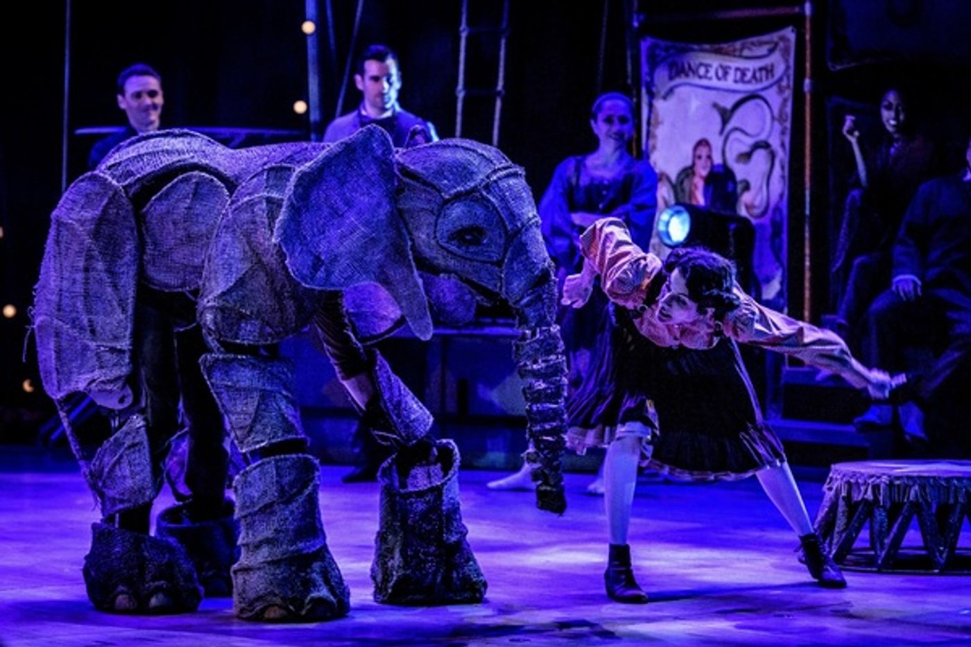 Photo Flash: First Look at All New Production Photos From CIRCUS 1903 at Southbank Centre's Royal Festival Hall Photo Flash: First Look at All New Production Photos From CIRCUS 1903 at Southbank Centre's Royal Festival Hall Image