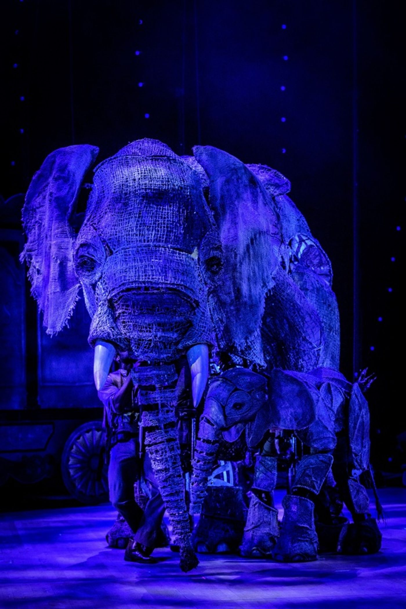 Photo Flash: First Look at All New Production Photos From CIRCUS 1903 at Southbank Centre's Royal Festival Hall Photo Flash: First Look at All New Production Photos From CIRCUS 1903 at Southbank Centre's Royal Festival Hall Image