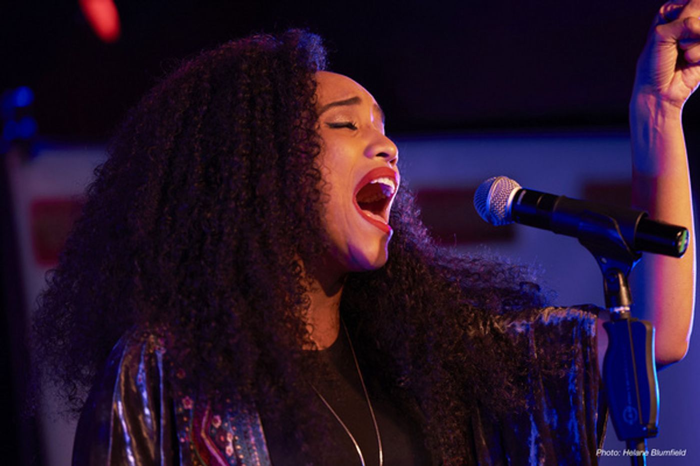 Photo Flash: Paige Davis, Jewelle Blackman and More at Broadway Sessions HOLIDAY SHOW at The Beechman  Image