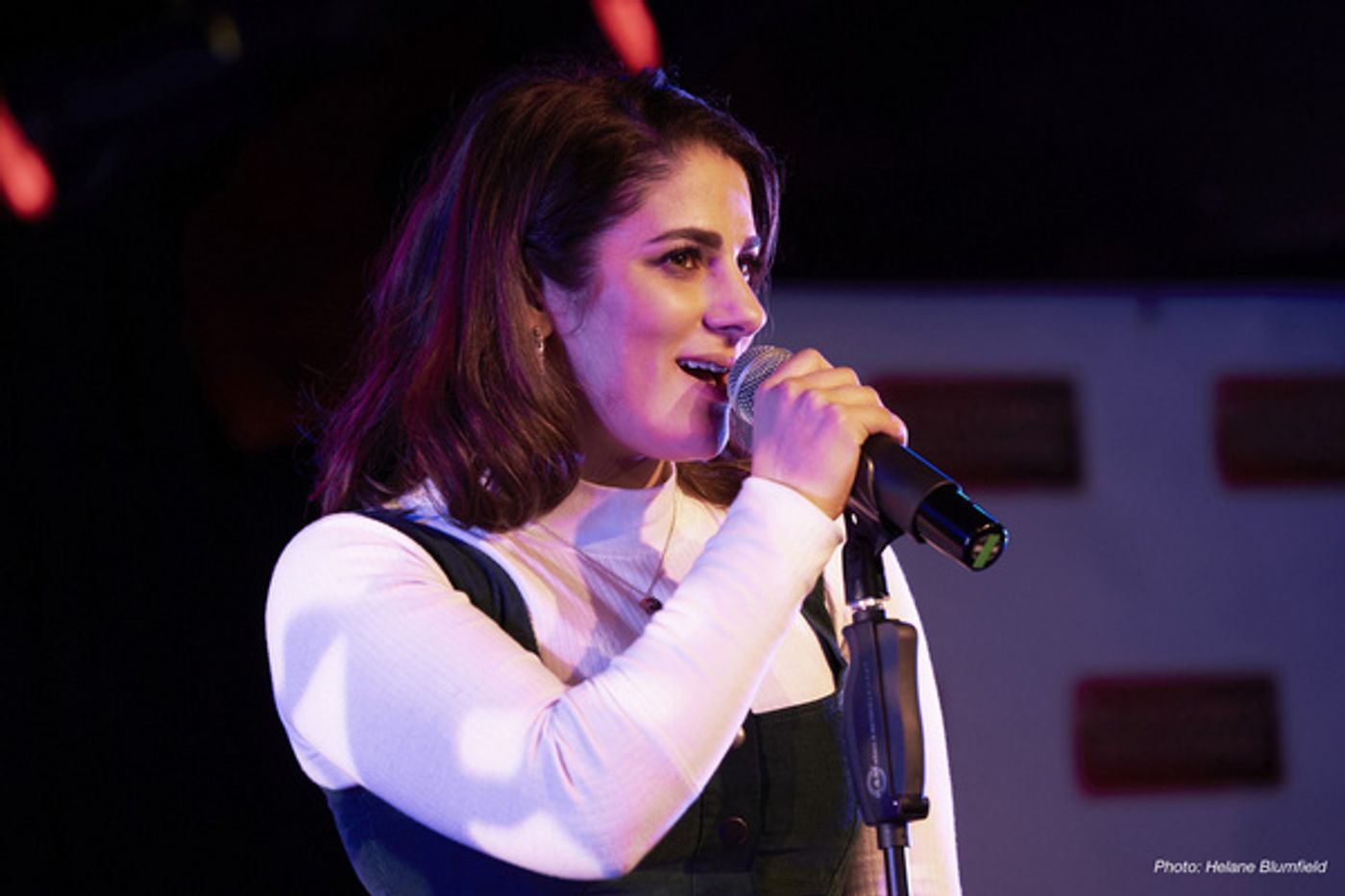 Photo Flash: Paige Davis, Jewelle Blackman and More at Broadway Sessions HOLIDAY SHOW at The Beechman  Image