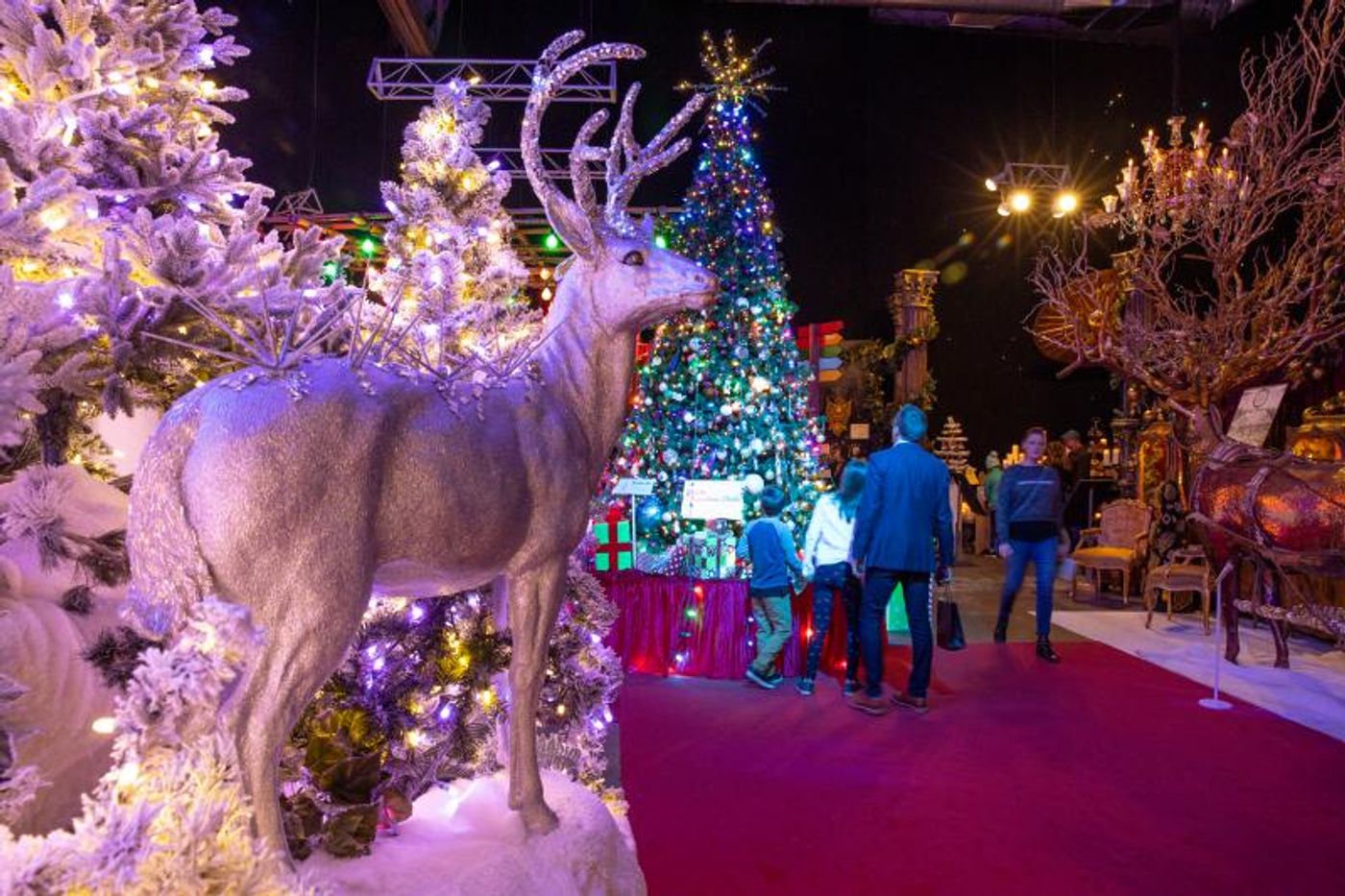 Review: DCPA's CAMP CHRISTMAS is a Festive Selfie Wonderland  Image