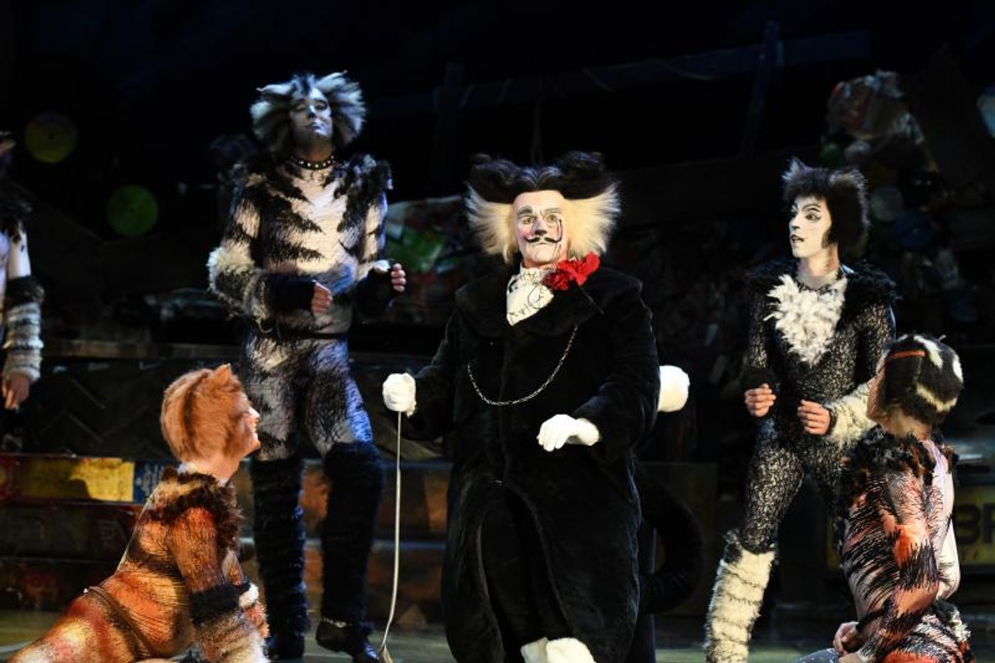 Review: CATS at the Sands Theatre, what a fantastic mewsicle!  Image