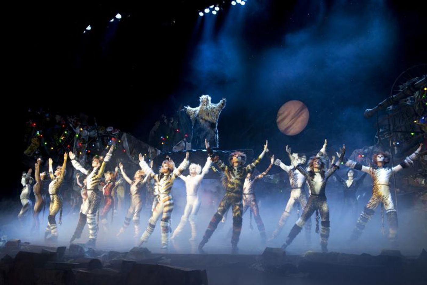 Review: CATS at the Sands Theatre, what a fantastic mewsicle!  Image