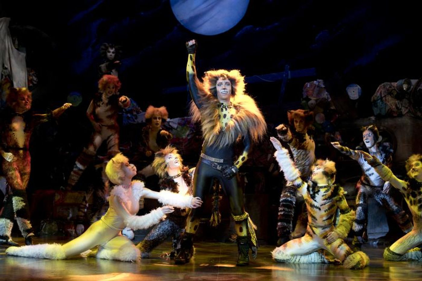 Review: CATS at the Sands Theatre, what a fantastic mewsicle!  Image