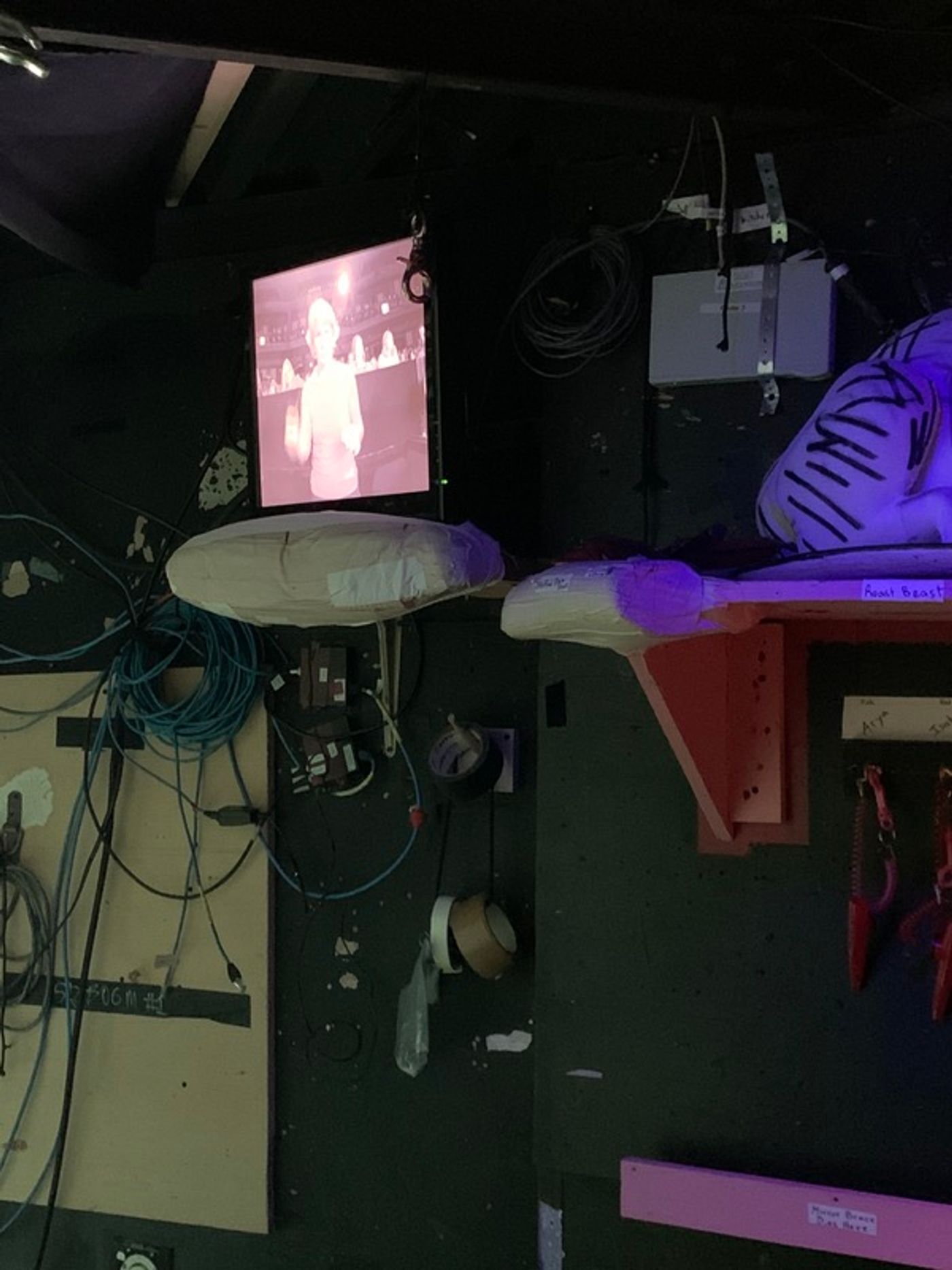 Feature: Behind the Scenes at DR. SEUSS'S HOW THE GRINCH STOLE CHRISTMAS! at The Old Globe  Image