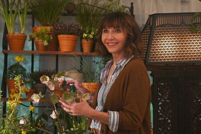 Mary Steenburgen Photo