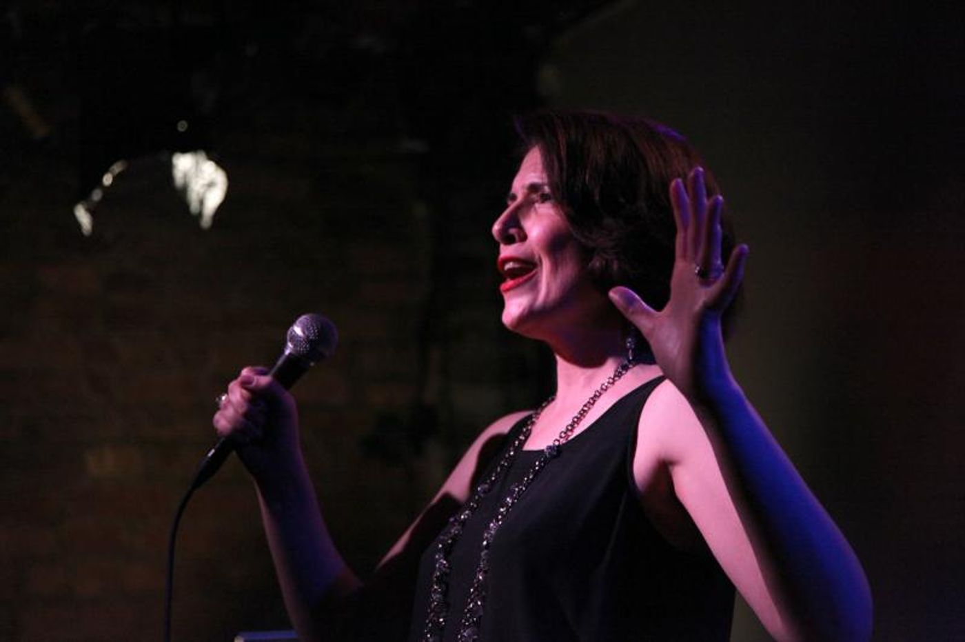 Review: Meg Flather Takes Flight In OUTBOUND PLANE at Don't Tell Mama  Image