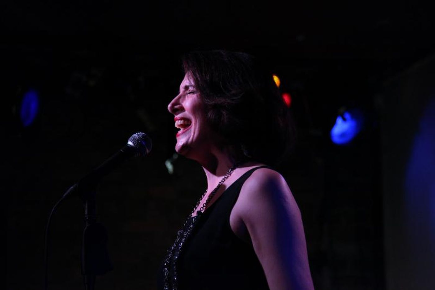 Review: Meg Flather Takes Flight In OUTBOUND PLANE at Don't Tell Mama  Image