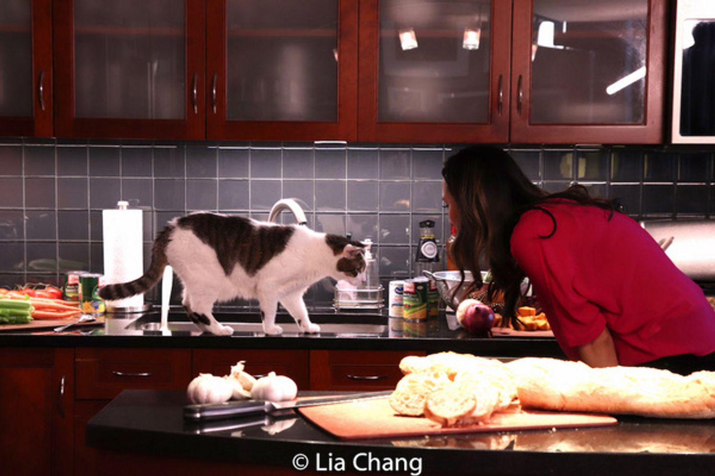 Photo Flash: Ali Ewoldt and Emily Borromeo Star In Comedy Short, THE CACTUS  Image