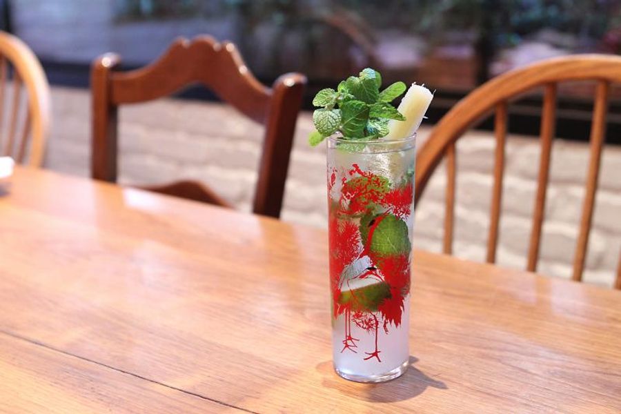 DRY JANUARY and Exceptional Non-Alcoholic Drink Recipes to Enjoy  Image
