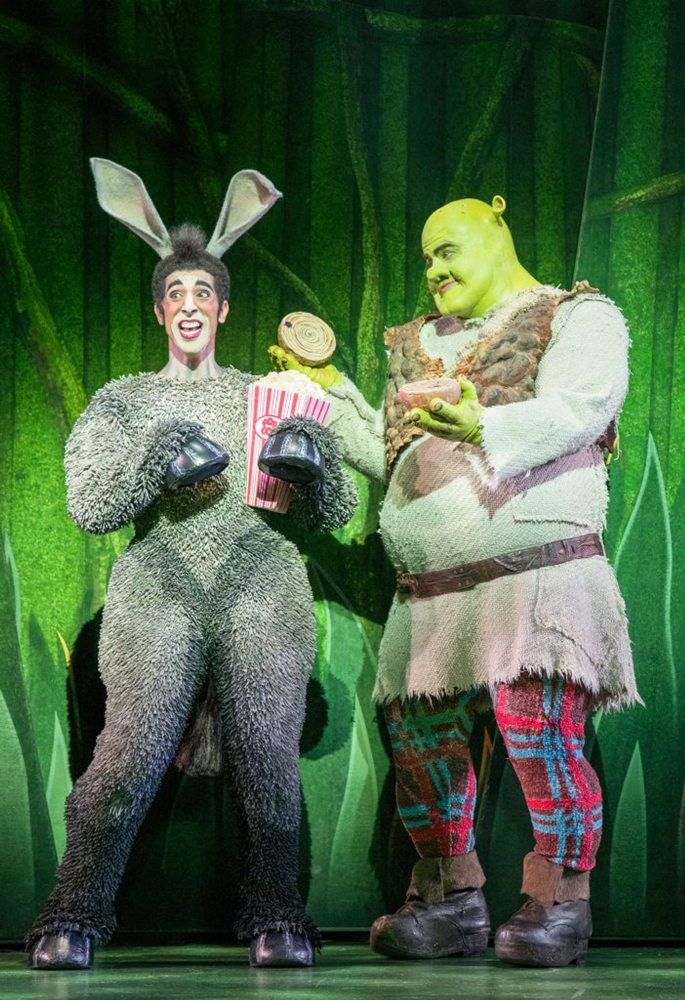 Review: Courage, Friendship And Acceptance Shine As SHREK THE MUSICAL Opens In Sydney  Image