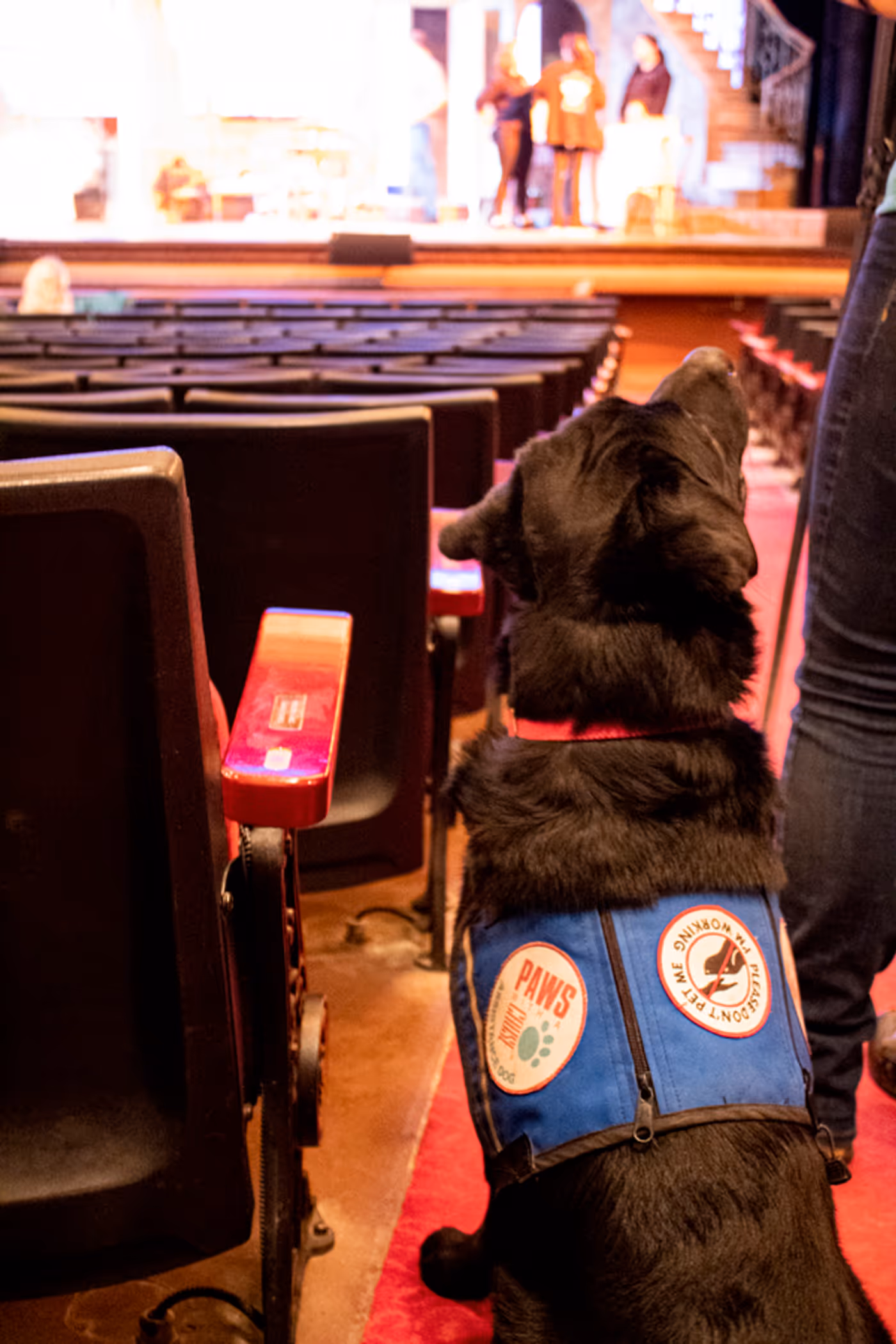 Photo Flash: Grand Rapids Civic Theatre Hosts Paws With A Cause for STREETCAR Preview  Image