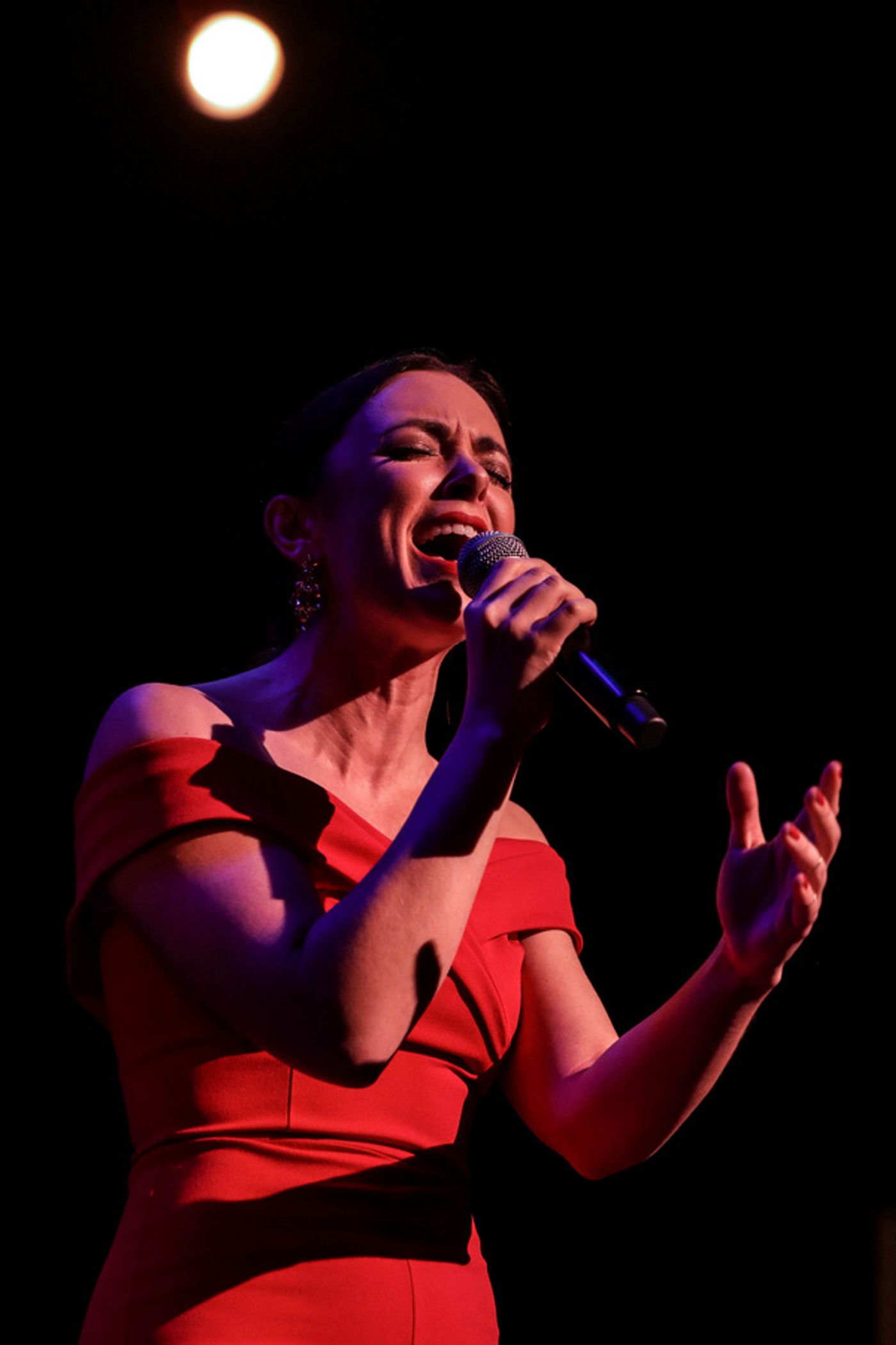 Photo Flash: Desi Oakley, Michael James Scott And More Headline 6th Annual CONCERT WITH THE STARS  Image