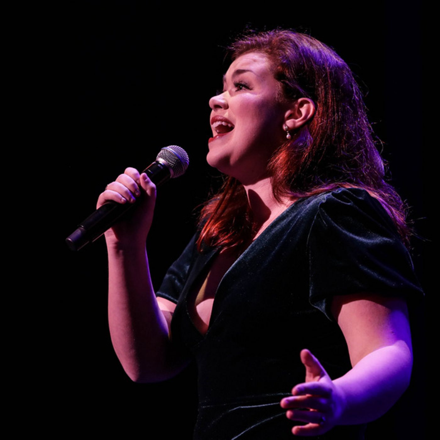 Photo Flash: Desi Oakley, Michael James Scott And More Headline 6th Annual CONCERT WITH THE STARS Photo Flash: Desi Oakley, Michael James Scott And More Headline 6th Annual CONCERT WITH THE STARS Image