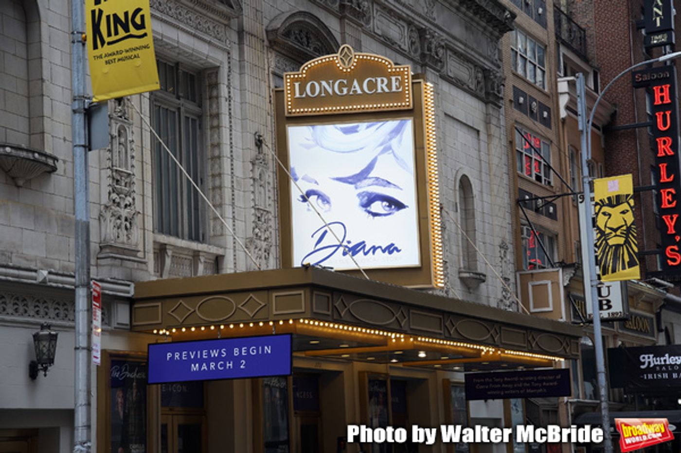 Up On The Marquee: DIANA Comes to Broadway This Spring! Up On The Marquee: DIANA Comes to Broadway This Spring! Image