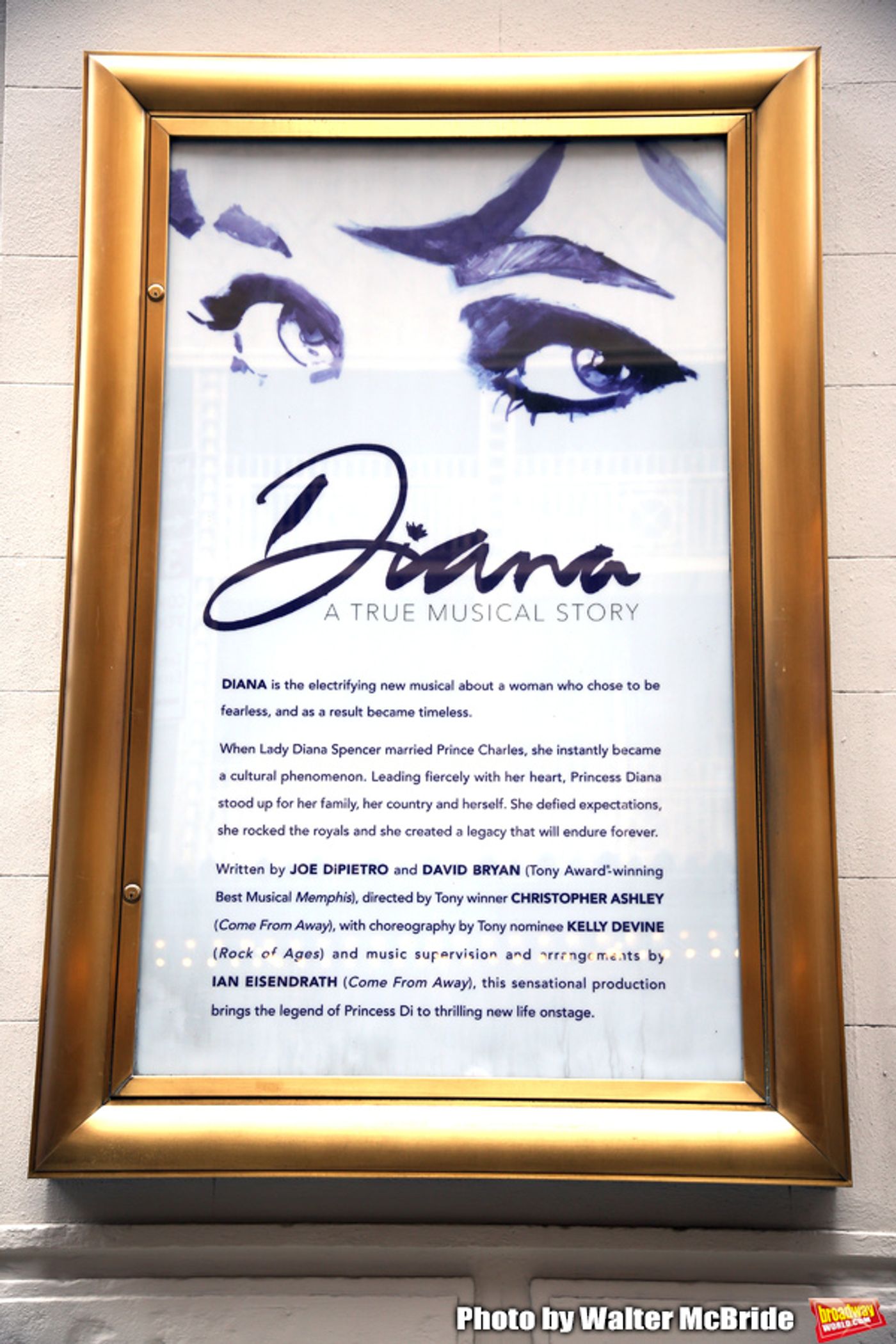Up On The Marquee: DIANA Comes to Broadway This Spring! Up On The Marquee: DIANA Comes to Broadway This Spring! Image