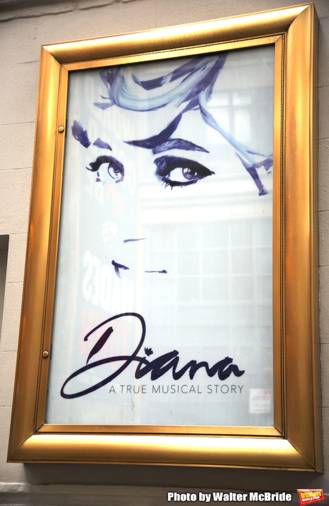 Up On The Marquee: DIANA Comes to Broadway This Spring! Up On The Marquee: DIANA Comes to Broadway This Spring! Image