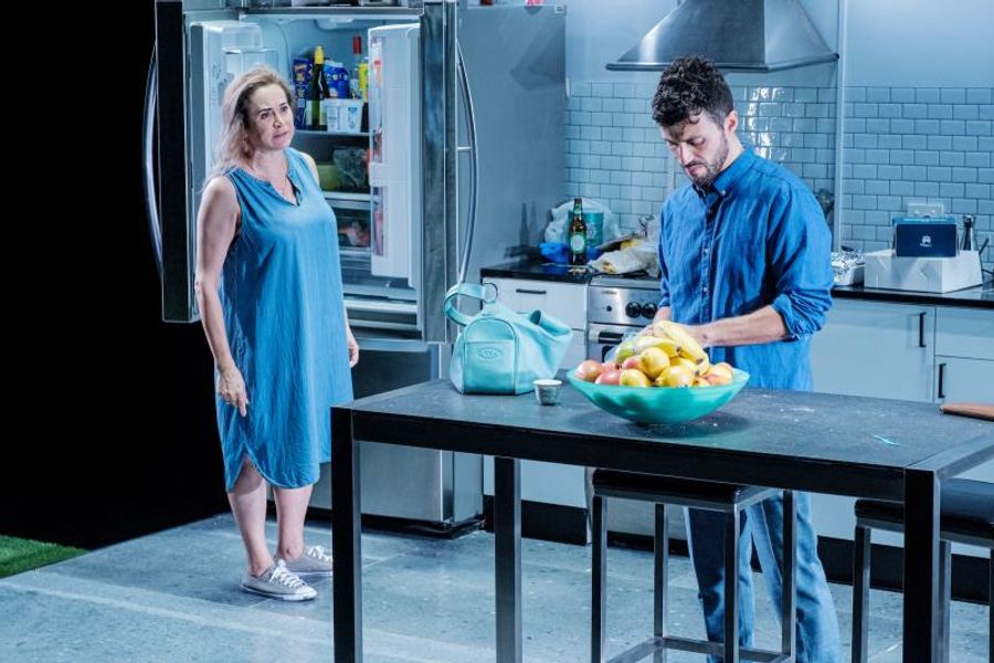 Review: The Coming Out Story In A Society Not Commonly Seen On Stage Is Considered In LADY TABOULI Image