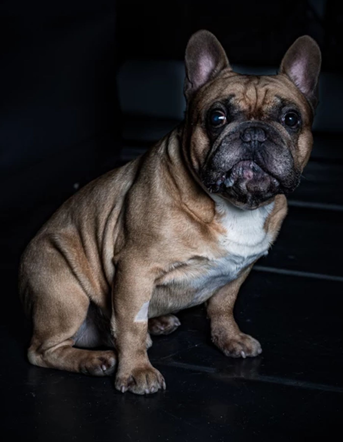 Review: YOUTH ON STAGE: ANNIE the musical at Culture House Martinus  Image