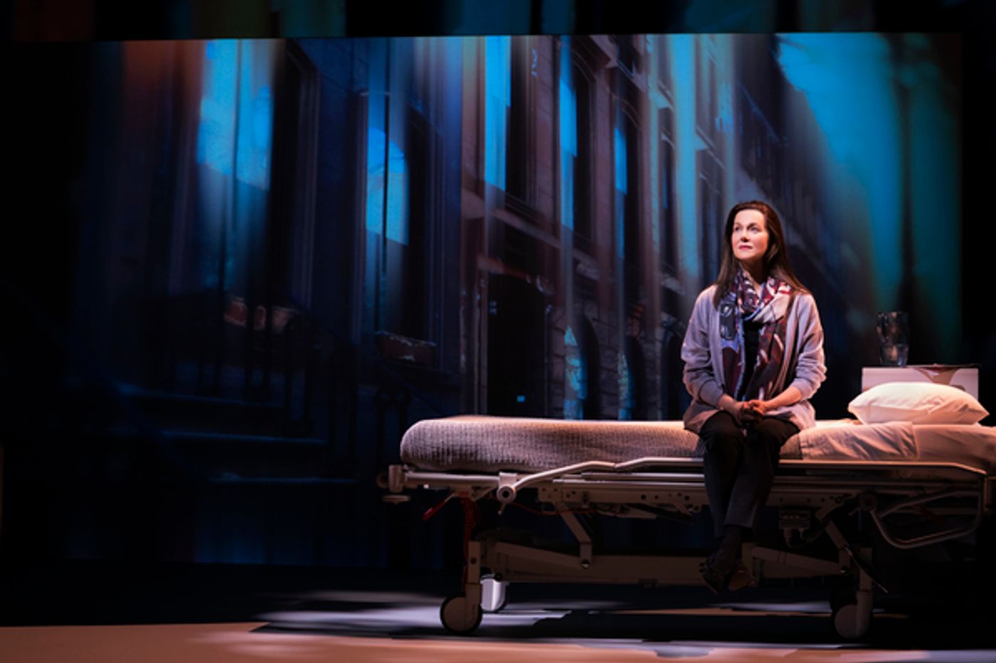 Photo Flash: First Look At MY NAME IS LUCY BARTON Starring Laura Linney  Image