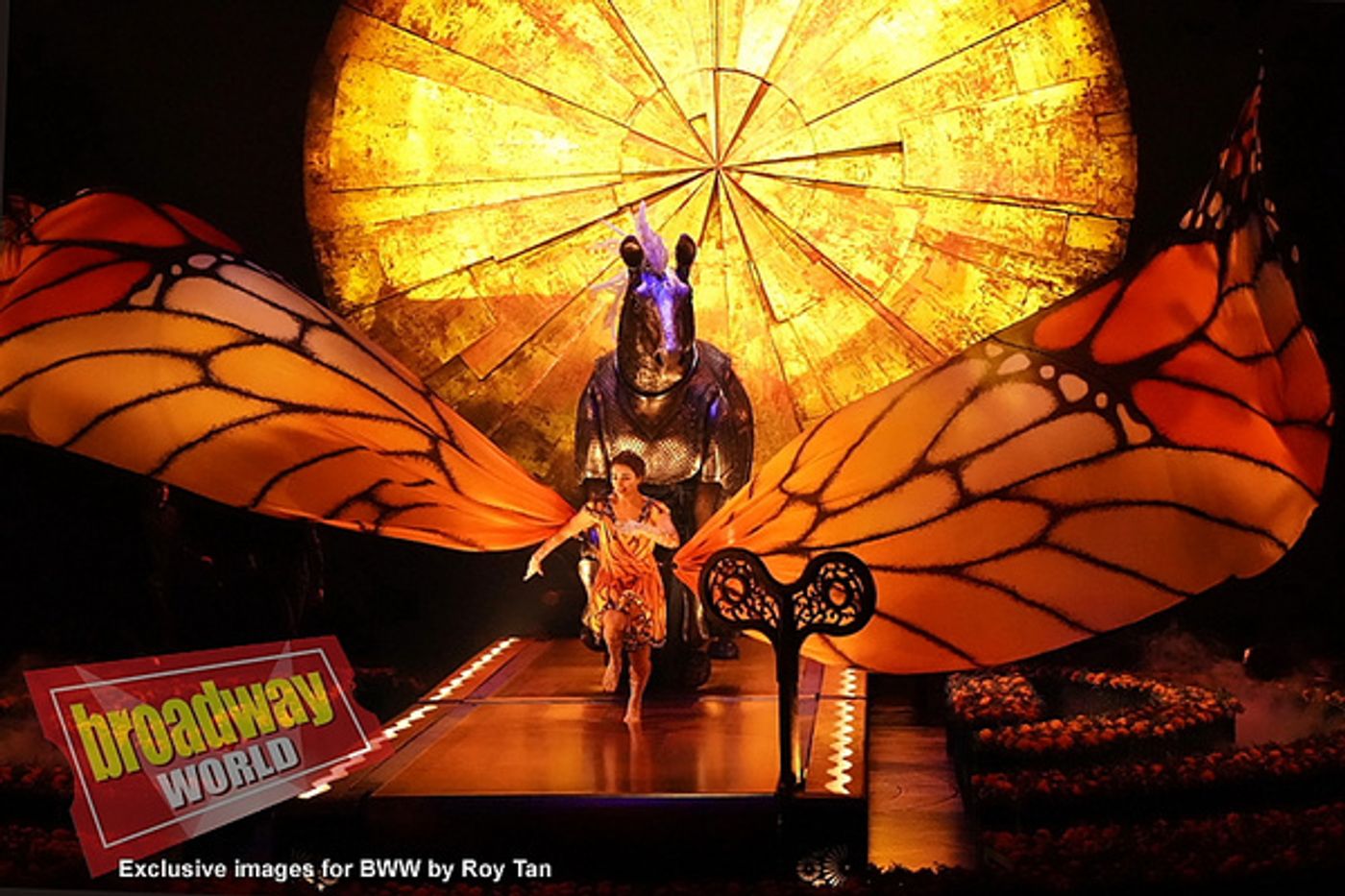 Photo Flash: First Look at CIRQUE DU SOLEIL LUZIA at the Royal Albert Hall Photo Flash: First Look at CIRQUE DU SOLEIL LUZIA at the Royal Albert Hall Image
