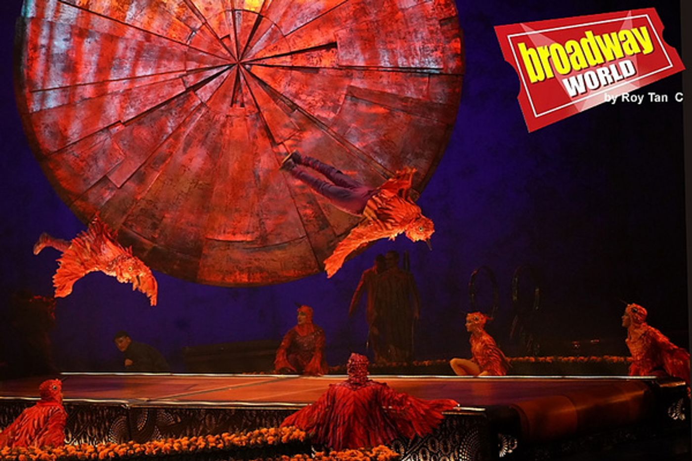 Photo Flash: First Look at CIRQUE DU SOLEIL LUZIA at the Royal Albert Hall Photo Flash: First Look at CIRQUE DU SOLEIL LUZIA at the Royal Albert Hall Image