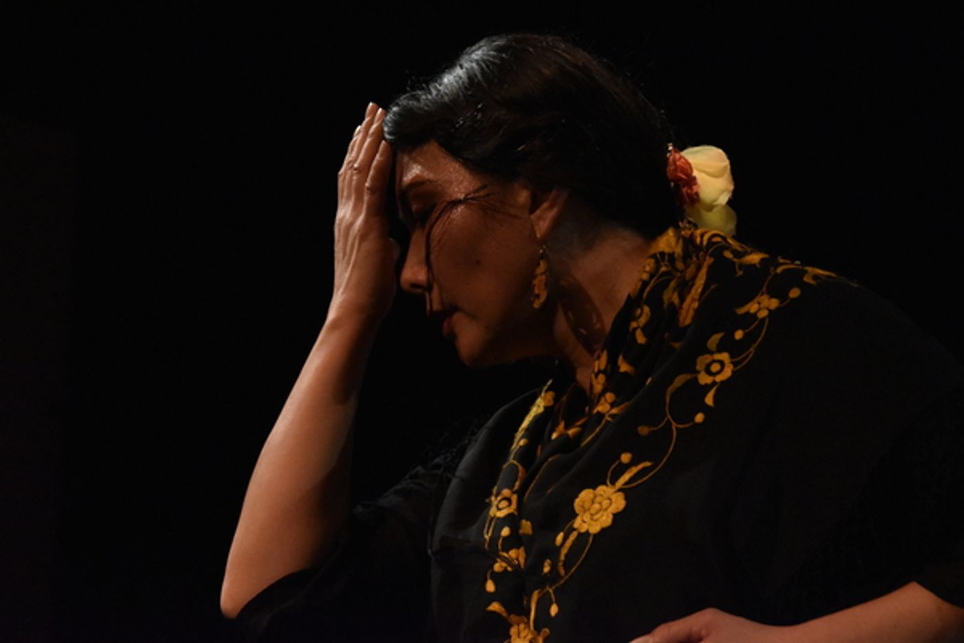 Photo Flash: 8th Annual Spring Flamenco Festival at Teatra Paraguas Photo Flash: 8th Annual Spring Flamenco Festival at Teatra Paraguas Image