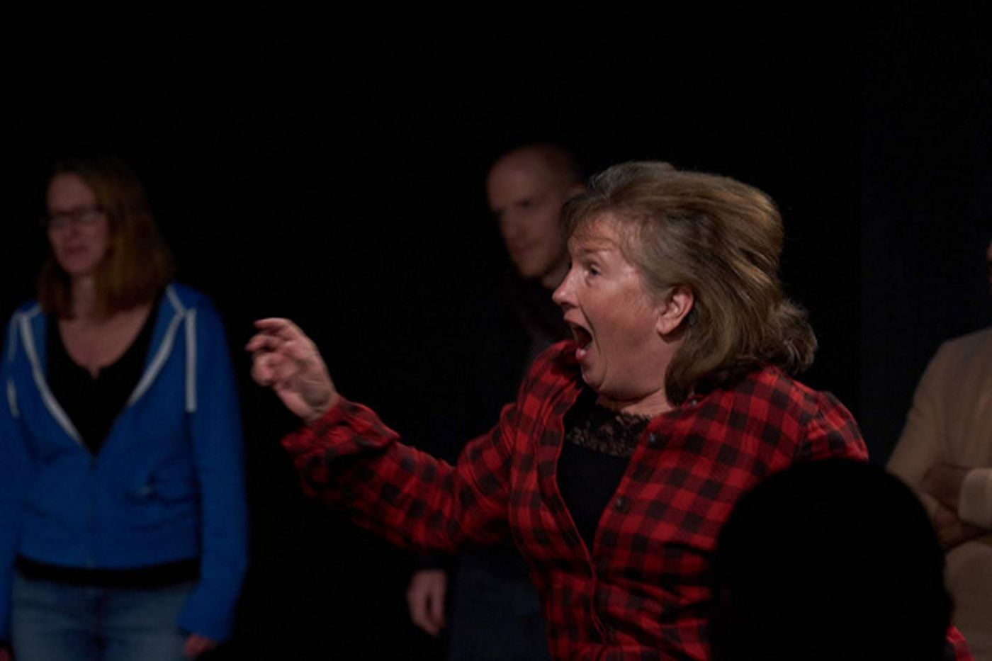 Photo Flash: Baltimore Improv Group Fundraiser Totals $36,000 For Free Shows At The BIG Theater  Image