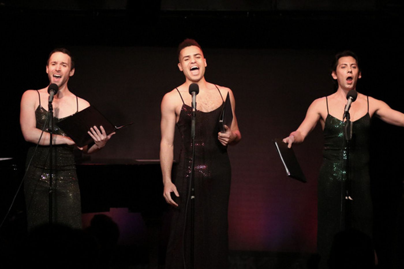Photo Flash: THE SENSIBLE CABARET Welcomes Cooper Howell & Gabe Violett  Image