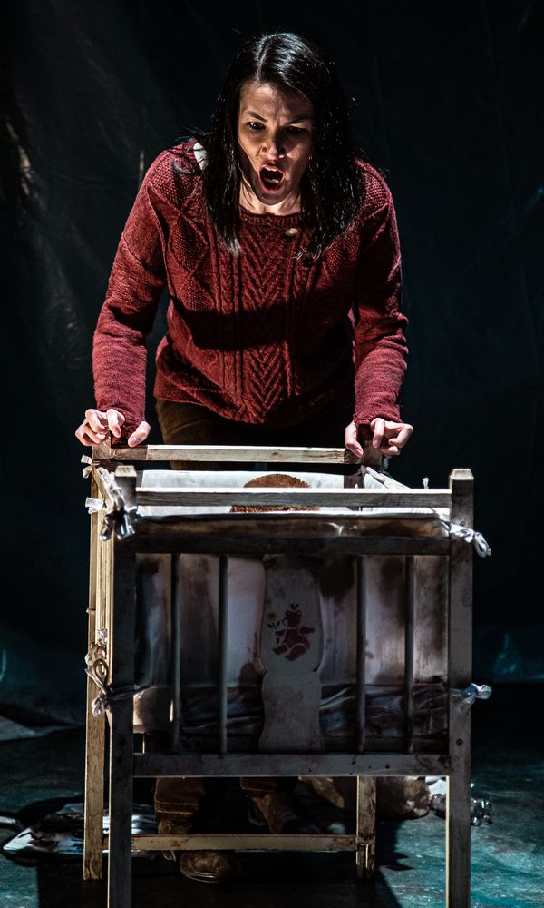 Elizabeth Chinn Molloy Photo