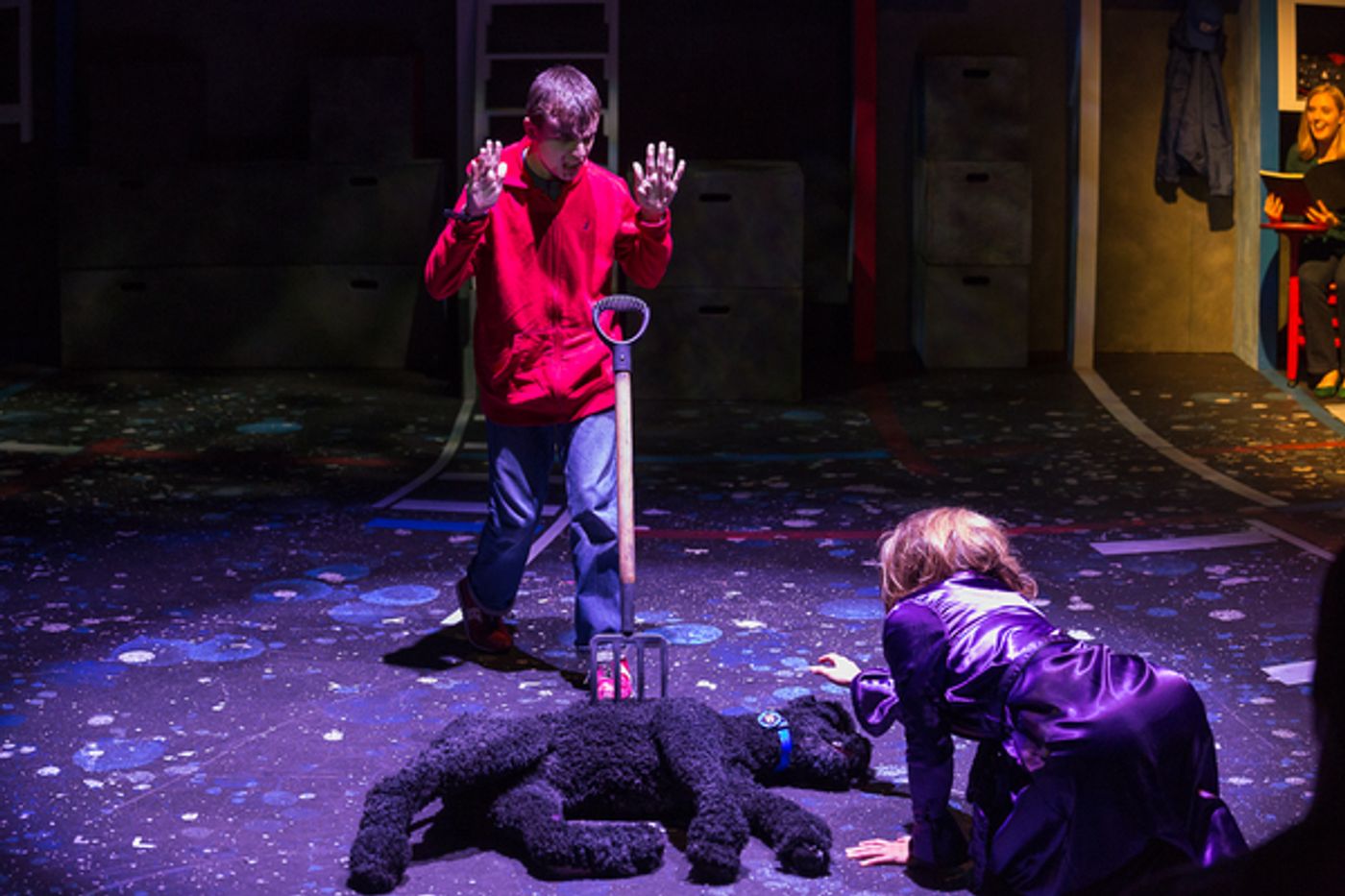 Photo Flash: THE CURIOUS INCIDENT OF THE DOG IN THE NIGHT-TIME At Raleigh Little Theatre  Image