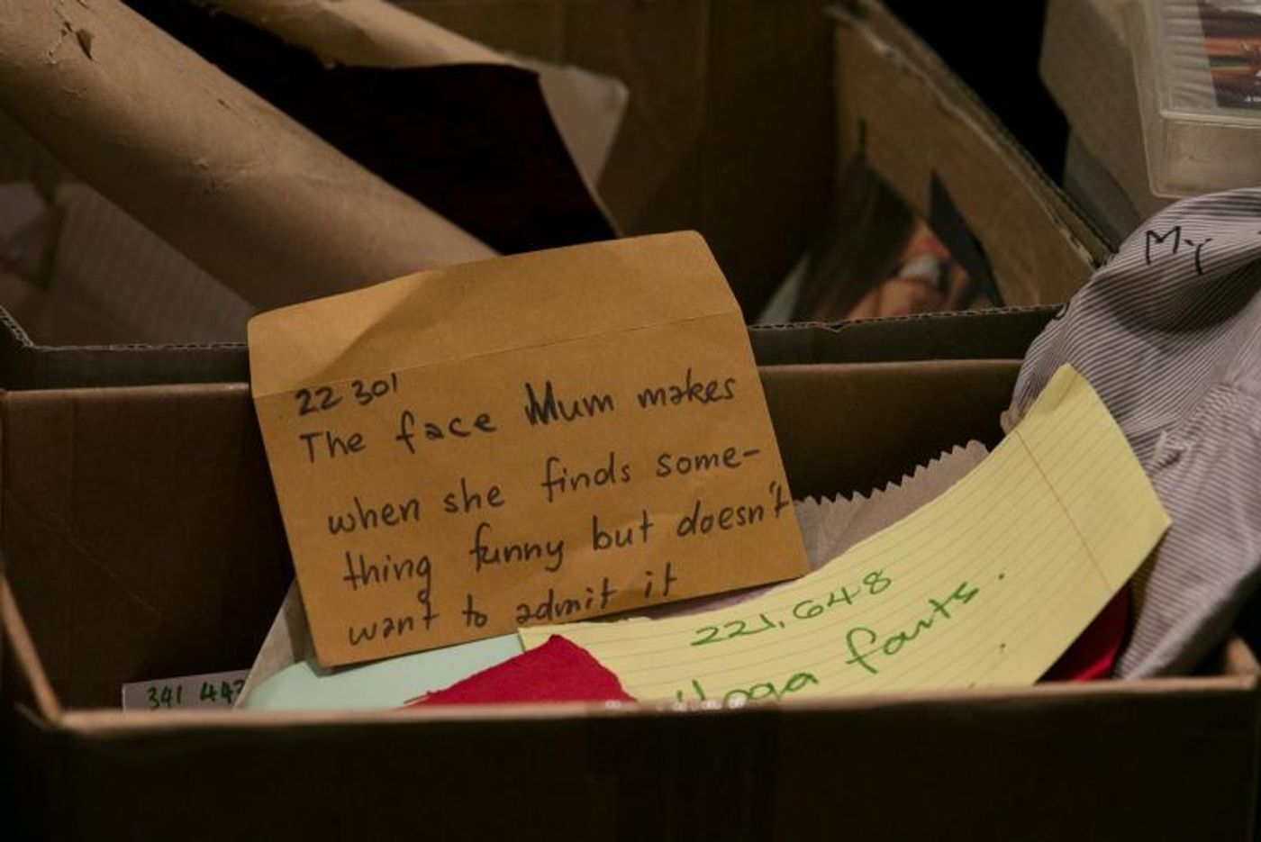 Review: EVERY BRILLIANT THING Returns to Belvoir St Theatre For An Encore Season with Steve Rodgers Stepping In To The Role Of Narrator  Image