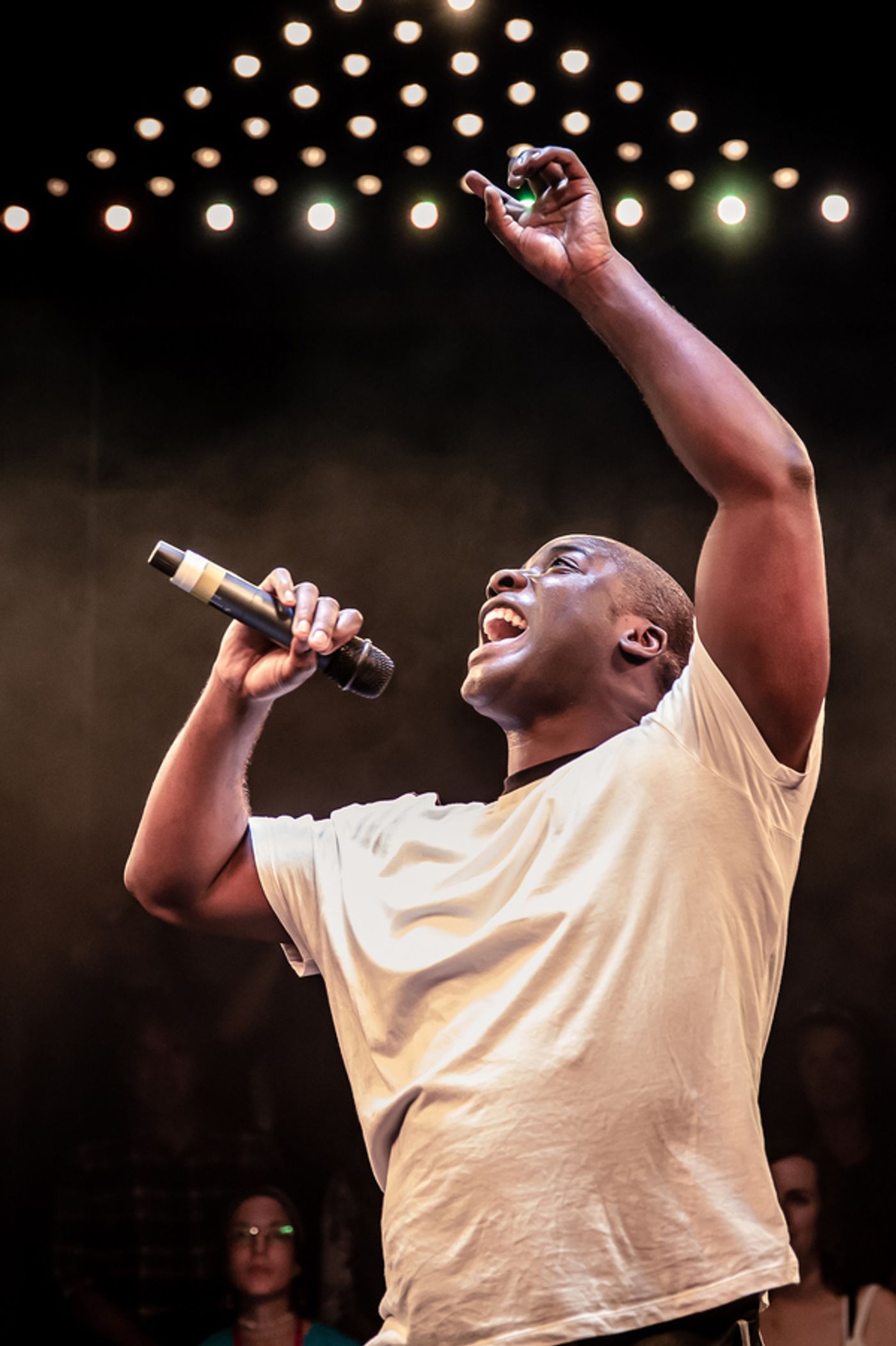 Photo Flash: First Look at the London Transfer of THE CANARY AND THE CROW  Image