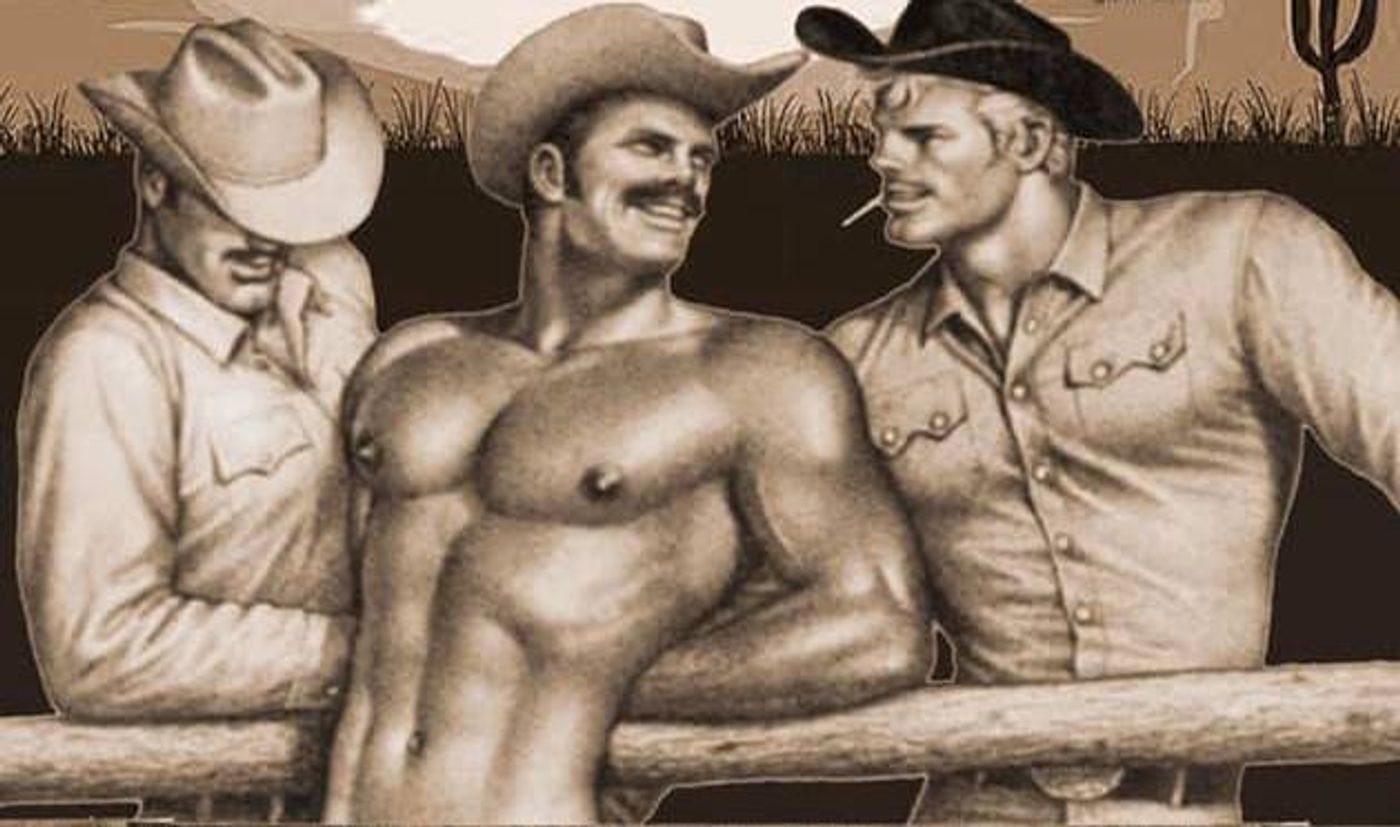 Review: Desert Rose's THOSE MUSCLEBOUND COWBOYS FROM SNAKE PIT GULCH is a Rip-Roaring Yee-Haw!  Image