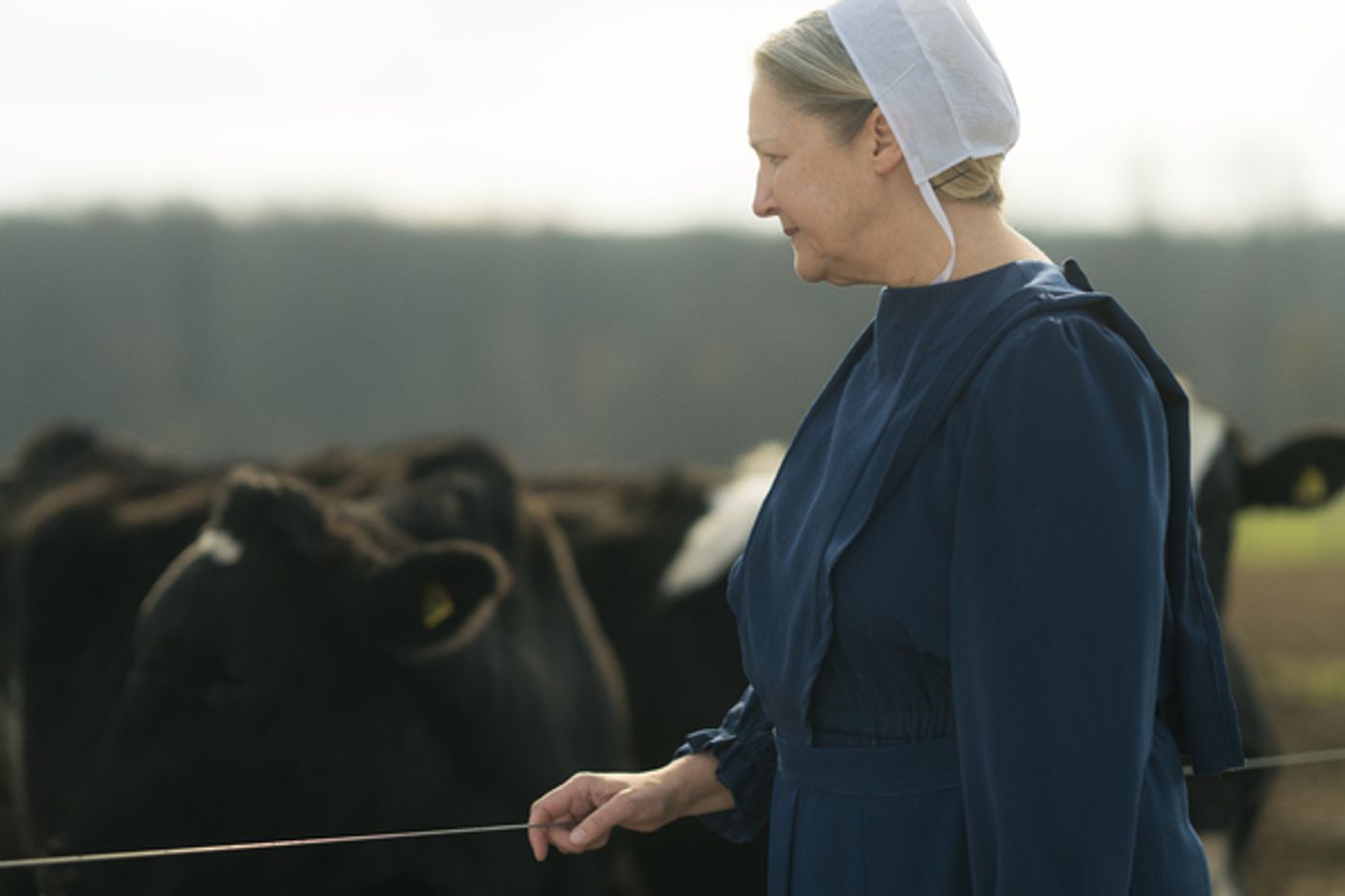 Photo Flash: Meet the Star of the Philadelphia Premiere Of EVERYTHING IS WONDERFUL  Image