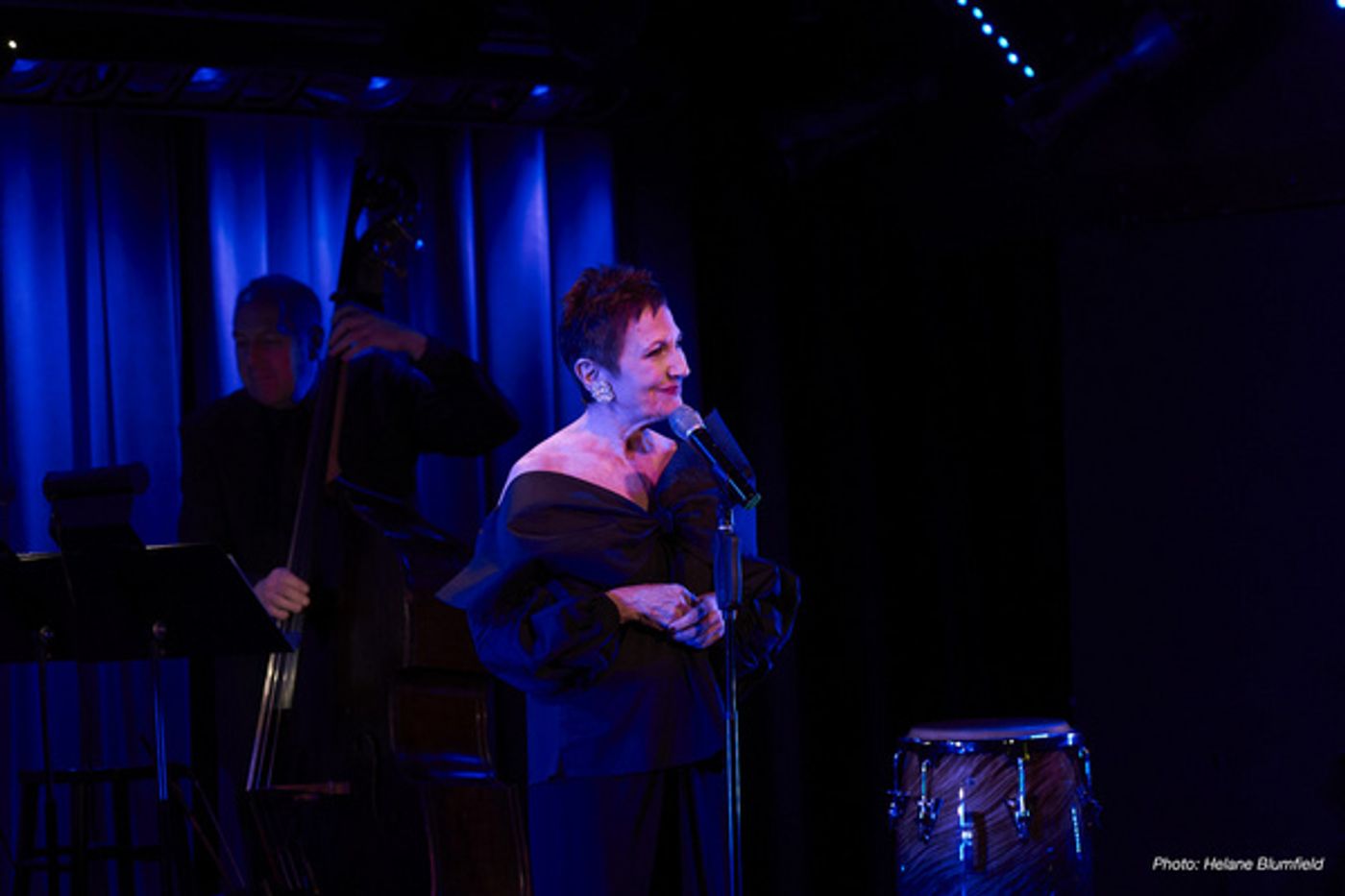Photo Flash: Joanne Halev Takes the Stage At The Laurie Beechman Theater  Image