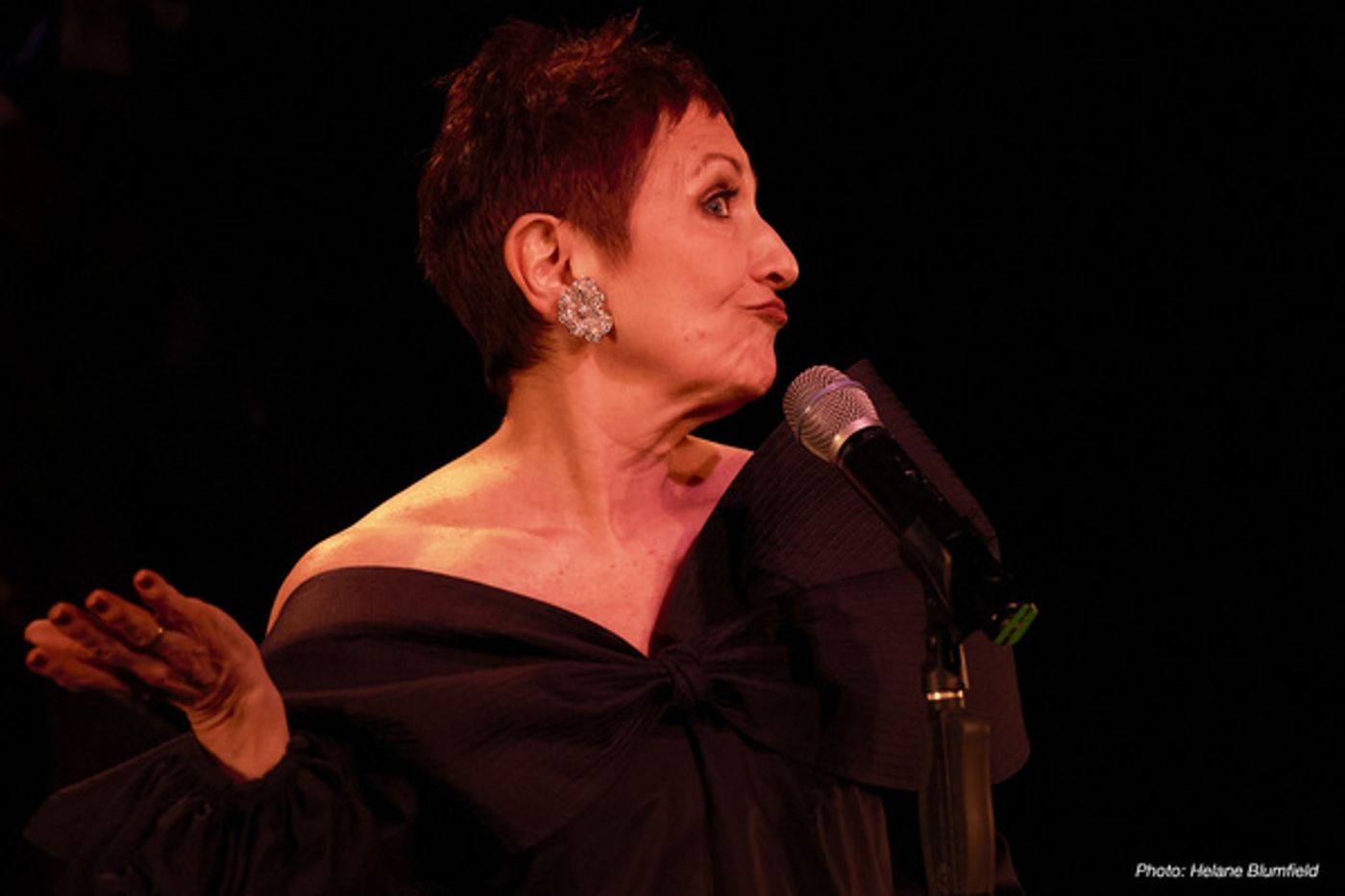 Photo Flash: Joanne Halev Takes the Stage At The Laurie Beechman Theater  Image