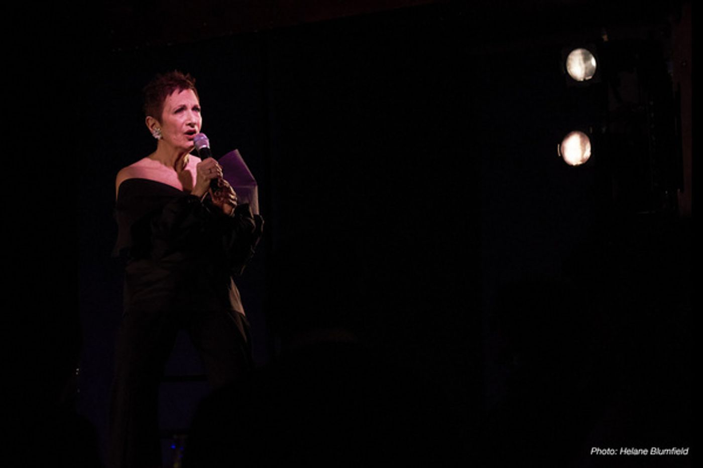 Photo Flash: Joanne Halev Takes the Stage At The Laurie Beechman Theater  Image