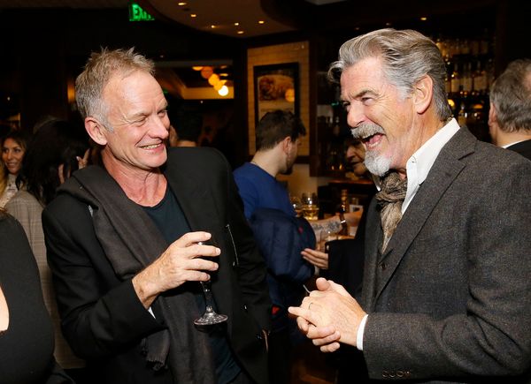 Sting and Pierce Brosnan Photo
