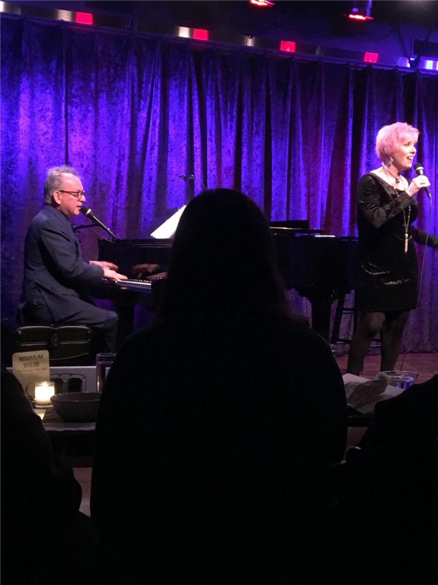 Review: MICHAEL & MARDIE…AND OTHER DELIGHTS at The Birdland Theater Is A Lot Of Other And Not So Many Delights.  Image