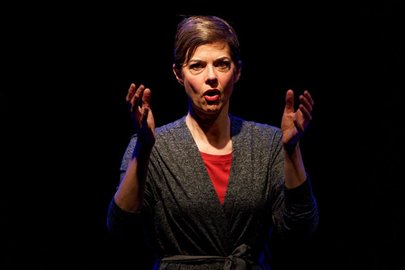 Photo Flash: Upstream Theater presents the English Language Premiere of WILDFIRE  Image